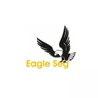 Eagle Seg Assessoria, Cursos E Treinamentos
