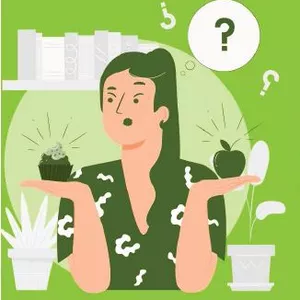 Imagem de capa para o Ebook Guia prático para emagrecimento em 4 semanas