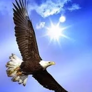 Imagem de Terapeuta Iniciante criado por Geralda Ribeiro Guimaraes na hotmart