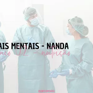 Imagem de capa para o Ebook Nanda - Domínio 2