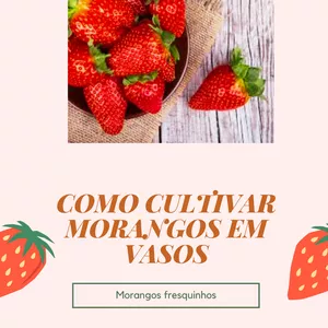 Imagem de capa para o Ebook Como Cultivar Morangos em vasos