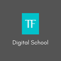 Tyrone Fisher's Digital Marketing School logo