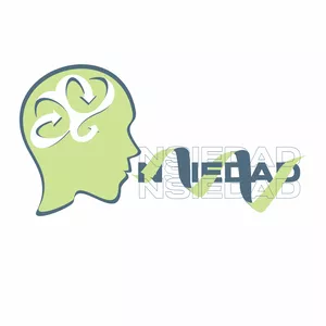 Imagen de portada para Curso online EL CAMINO AL FINAL DE ANSIEDAD