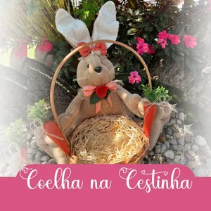 Imagem de capa para o Curso online Coelha Tuca na Cestinha