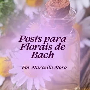 Imagem de capa para o Curso online  PACK PARA EMPREENDEDORES - FLORAIS DE BACH