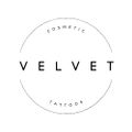 Velvet Academy  logo