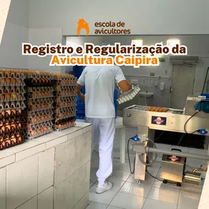 Imagem de capa para o Curso online Curso Registro e Regularização