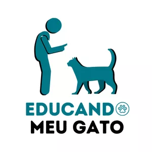 Imagem de capa para o Curso online EDUCANDO MEU GATO