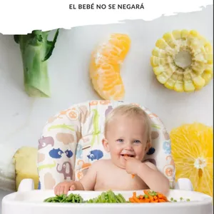 Imagen de portada para Ebook Método BLW