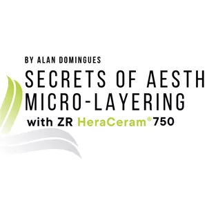 Cover image for Online course SECRETS OF AESTHETIC MICRO-LAYERING COURSE