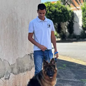 Curso Adestramento dos Sonhos