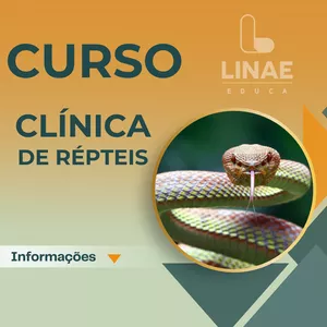 Imagem de capa para o Curso online Curso Clínica de Repteis