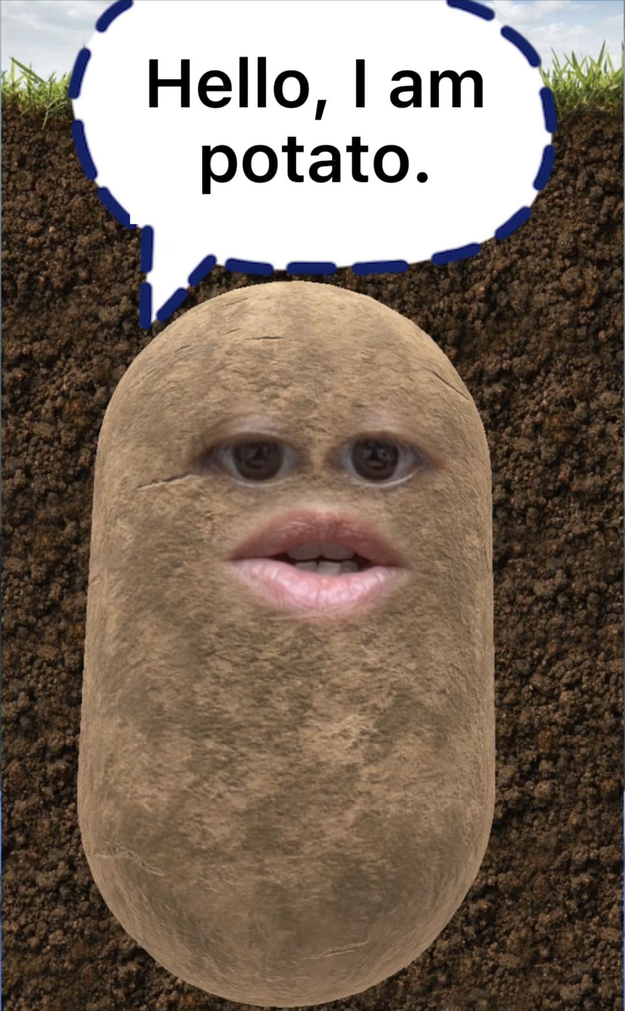 Mr Potato