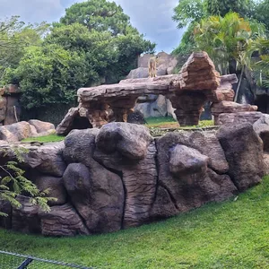 Imagen de portada para Curso online fotografías 