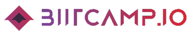BIITCAMP logo