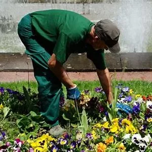 Imagen de portada para Curso online JARDINERIA PROFESIONAL