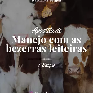 Imagem de capa para o Ebook Apostila de Manejo de Bezerras Leiteiras