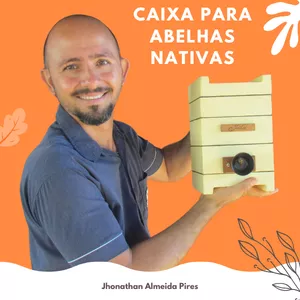 Caixa para Abelha