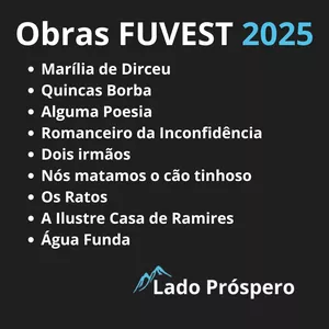 Imagem de capa para o Ebook Resumo Obras Literárias FUVEST 2025