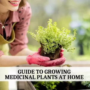 Cover image for Online course Guide to Growing Your Own Medicinal Plants