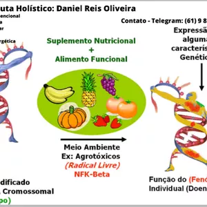 Imagem de Plano Alimentar Ortomolecular Sanguíneo Tipo O criado por Brand Valparaíso na hotmart