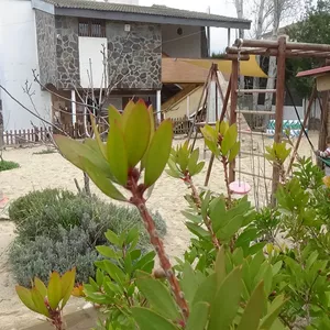 Imagen de portada para Curso online CÓMO MONTAR TU PROPIO COLEGIO MONTESSORI