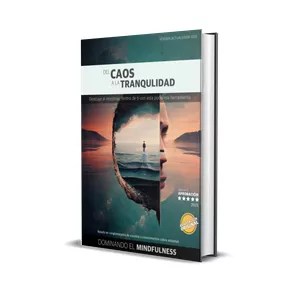 Imagen de portada para Ebook DEL CAOS A LA TRANQUILIDAD