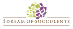 I Dream of Succulents