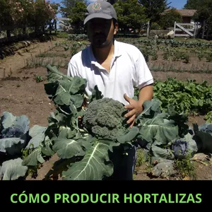 Imagen de portada para Curso online ¿Cómo Sembrar Hortalizas En Poco Espacio De Terreno?