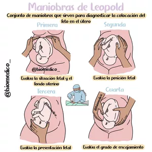 Imagen de portada para Ebook Pack Gineco-Obstetricia - @Biomedico