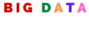 Big Data In Real World logo