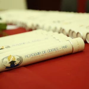 Imagem de capa para o Curso online Academia de Líderes ANP
