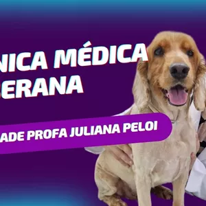 Imagem de capa para o Curso online A Clínica Médica é Soberana