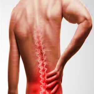 Imagem de capa para o Ebook Ebook Exclusivo: Pilates na dor lombar-Recupere sua qualidade de vida.