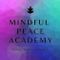 Mindful Peace Academy
