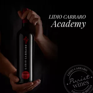 Imagem de capa para o Curso online Lidio Carraro Academy