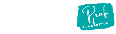 Monet Prof académie logo