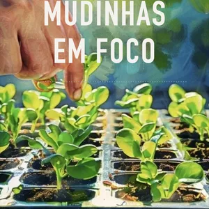 Imagem de capa para o Ebook Mudinhas em Foco