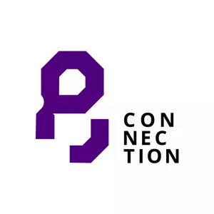 Imagem de capa para o Curso online P8 Connection