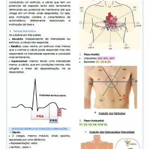 Imagem de capa para o Ebook Resumo eletrocardiograma