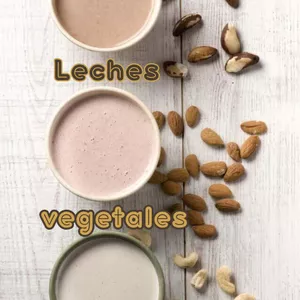 Imagen de portada para Ebook Leches Vegetales