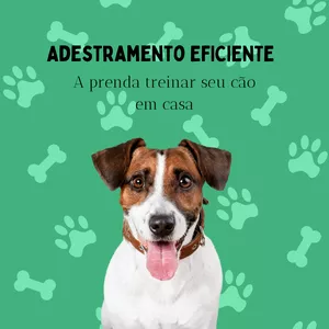 Imagem de capa para o Curso online Adestramento eficiente