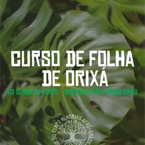 Imagem de capa para o Ebook Sacralidade das Folhas - Curso de Folhas de Orixá