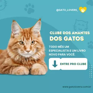 Imagem principal do produto Clube dos Amantes dos Gatos