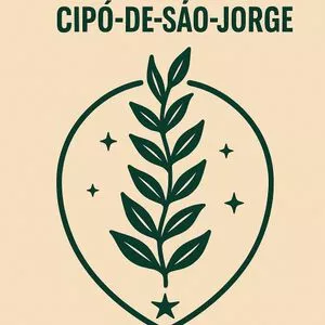 Imagen de portada para Curso online Guia Prático São Jorge