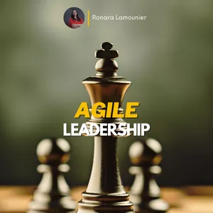 Imagem de capa para o Curso online Agile Leadership