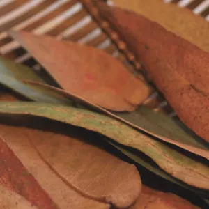 Imagen de portada para Curso online El arte de los tintes naturales