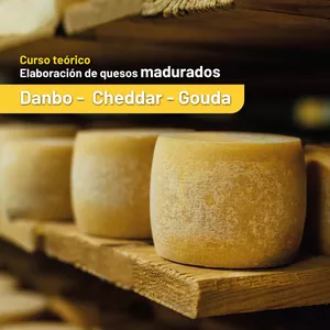 Imagen de portada para Curso online Curso Quesos Madurados (Marzo 2025)