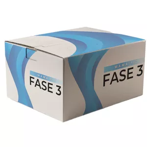 Imagen de portada para Curso online MAMA FIT FASE 3