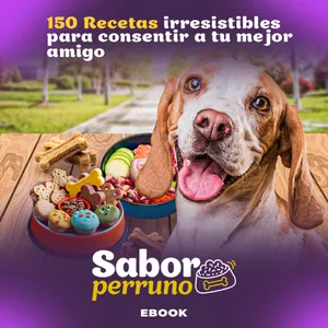 Imagen de portada para Curso online 150 Recetas perrunas